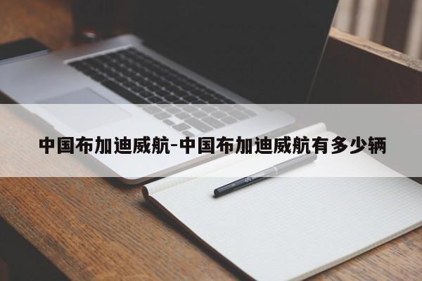 中国布加迪威航-中国布加迪威航有多少辆