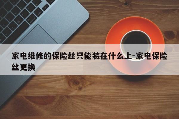 家电维修的保险丝只能装在什么上-家电保险丝更换