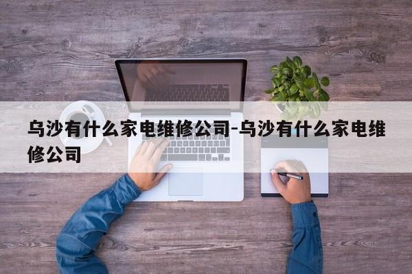 乌沙有什么家电维修公司-乌沙有什么家电维修公司