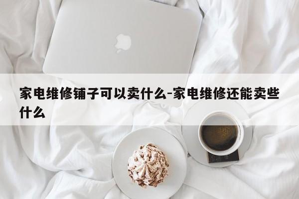 家电维修铺子可以卖什么-家电维修还能卖些什么